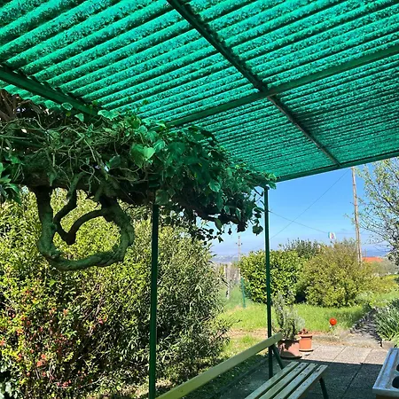 Apartma Korelc *