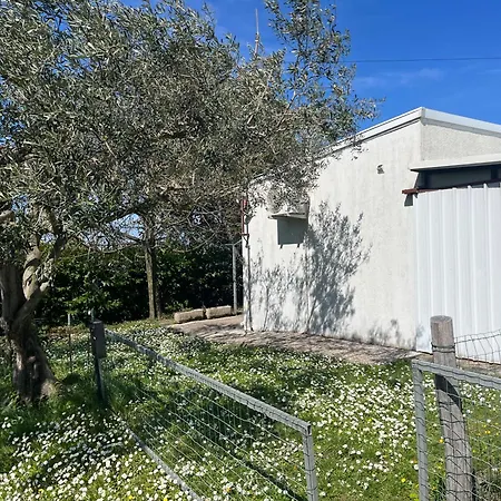 Apartma Korelc Holiday home *