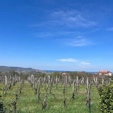 Apartma Korelc 度假居