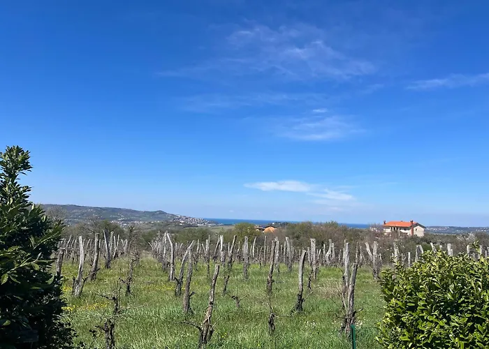 Apartma Korelc Vakantiehuis